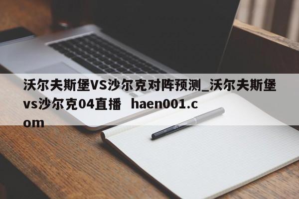 沃尔夫斯堡VS沙尔克对阵预测_沃尔夫斯堡vs沙尔克04直播  haen001.com